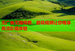 无广告无限观看，蘑菇视频让你畅享高清影视体验