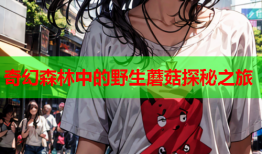 奇幻森林中的野生蘑菇探秘之旅