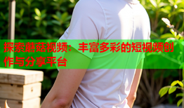 探索蘑菇视频：丰富多彩的短视频创作与分享平台