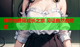 神奇的蘑菇成长之旅 见证自然的奇迹
