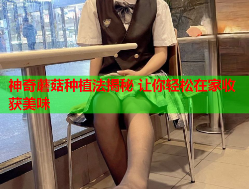 神奇蘑菇种植法揭秘 让你轻松在家收获美味