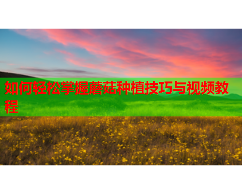 如何轻松掌握蘑菇种植技巧与视频教程