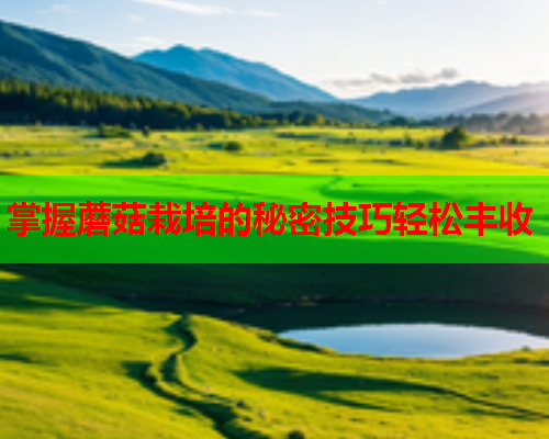 掌握蘑菇栽培的秘密技巧轻松丰收