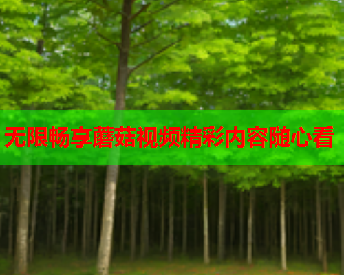 无限畅享蘑菇视频精彩内容随心看
