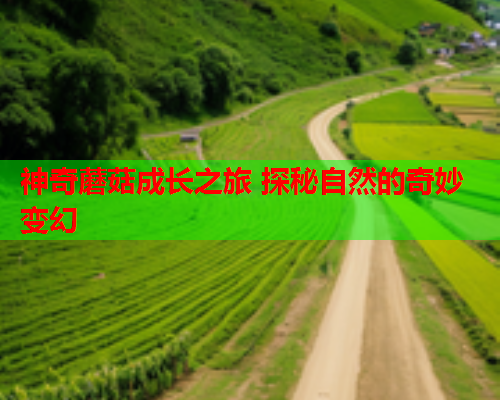 神奇蘑菇成长之旅 探秘自然的奇妙变幻