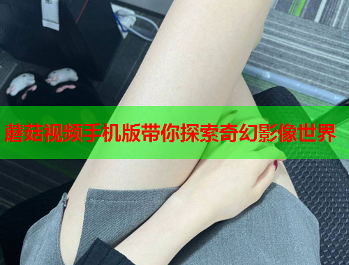 蘑菇视频手机版带你探索奇幻影像世界