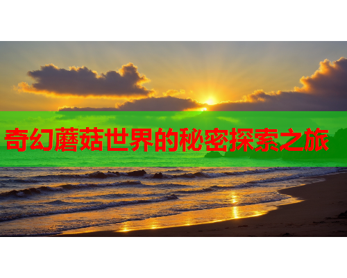 奇幻蘑菇世界的秘密探索之旅
