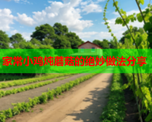 家常小鸡炖蘑菇的绝妙做法分享